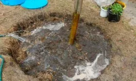 Полив и подкормка