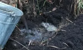 полив посадочной ямы