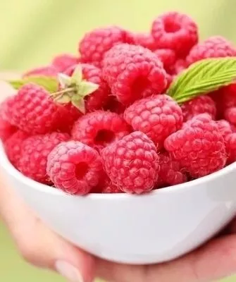 польза малины Бальзам