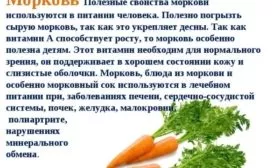 польза моркови Нантская 4