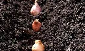 Особенности посадки