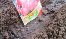 Посев семян