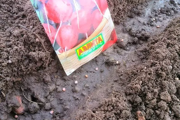 Посев семян