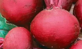 Представление о сорте