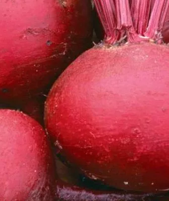 Представление о сорте