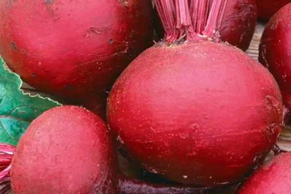 Представление о сорте