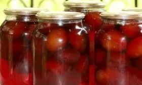 применение сливы красный шар