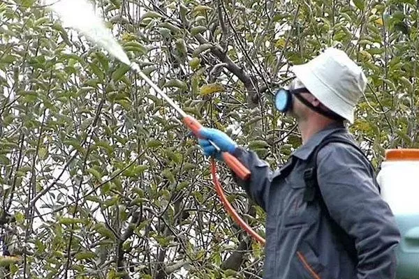 Профилактика болезней и вредителей