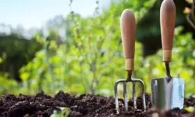 прополка и рыхление огурцов Зелёнка