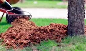 Прополка, мульчирование, рыхление