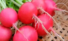 Представление о сорте