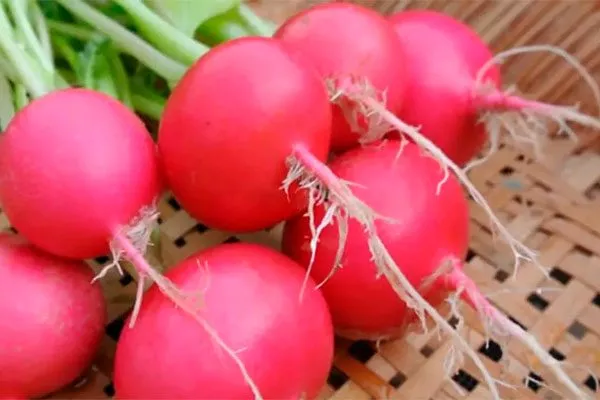 Представление о сорте