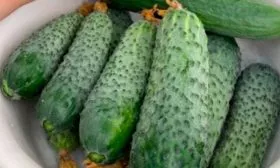 Вкус и предназначение