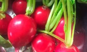 Меркадо Я дома