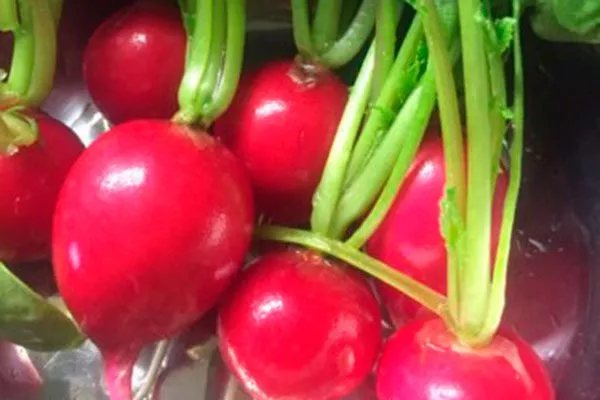 Меркадо Я дома