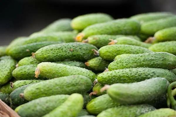 Клавдия Агро