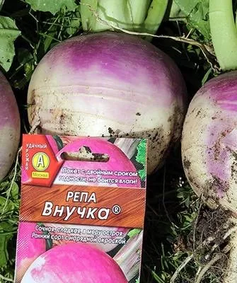 Внучка