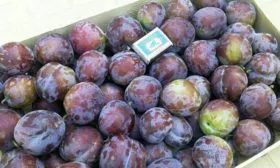 Сбор и хранение урожая