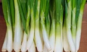 сбор урожая лука Русский зимний