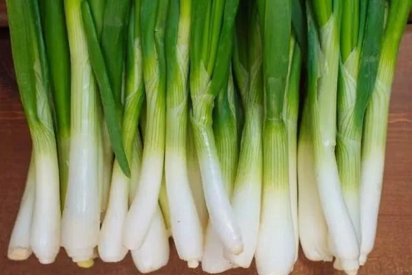 сбор урожая лука Русский зимний