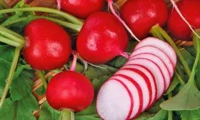 Вкус и назначение плодов