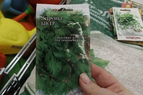 семена петрушки Бисер