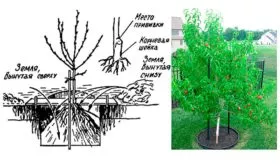 Схема и процесс посадки