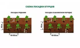 Схема посадки