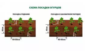 Схема посадки