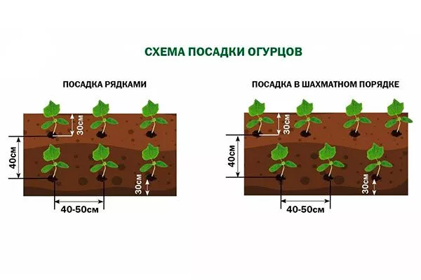 Схема посадки