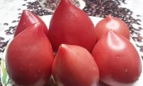 Шурики, аналог Фатимы