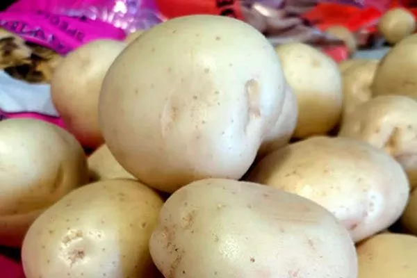 Вкусовые качества Сифры