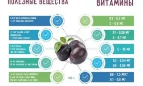 полезные вещества в сливах сорта Антонина