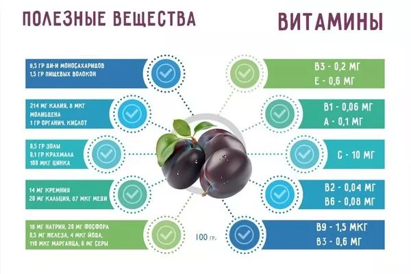 полезные вещества в сливах сорта Антонина