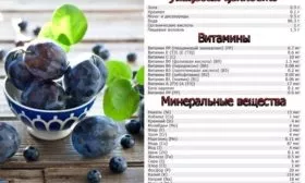 полезные вещества в составе слив Алёнушка