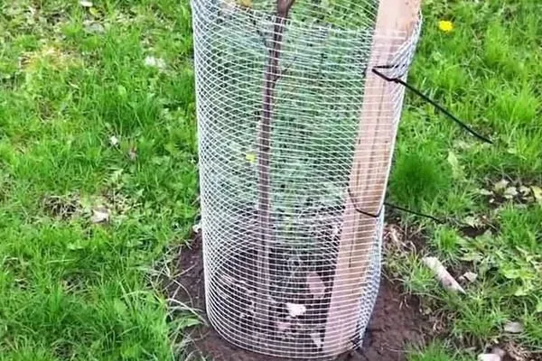защитная сетка на сливе от грызунов