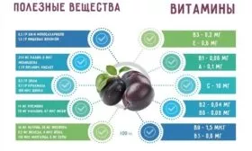 польза сливы, состав