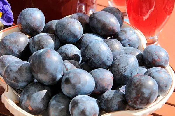 Сборка урожая и правила хранения