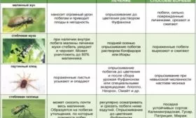 вредители малины Нижегородец: их признаки и способы борьбы