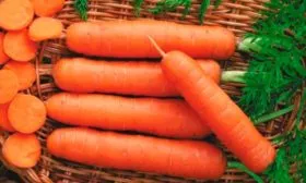 Сорт Пралине