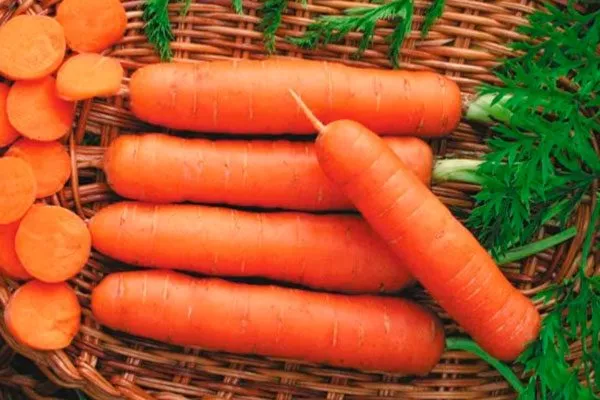 Сорт Пралине