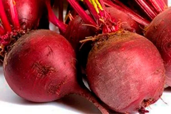 Свёкла Барон