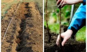 Траншейный метод