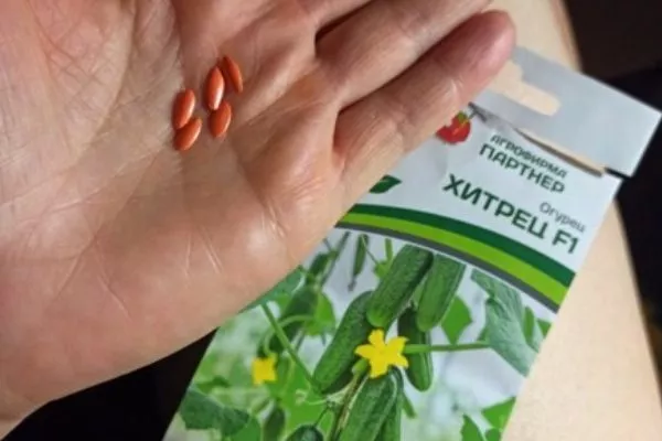 семена Хитреца