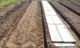 участок для посадки огурцов сорта Три танкиста