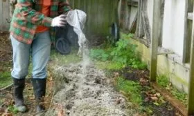 удобрение грядок древесной золой для моркови Детская сладкая