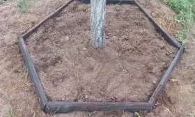 Уход за приствольным кругом