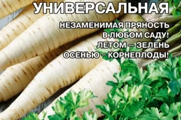 петрушка Универсальная