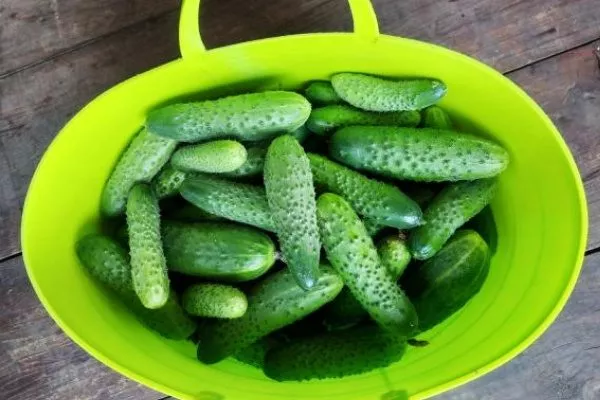 урожай Селёдочки