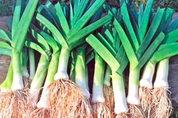 Урожайность